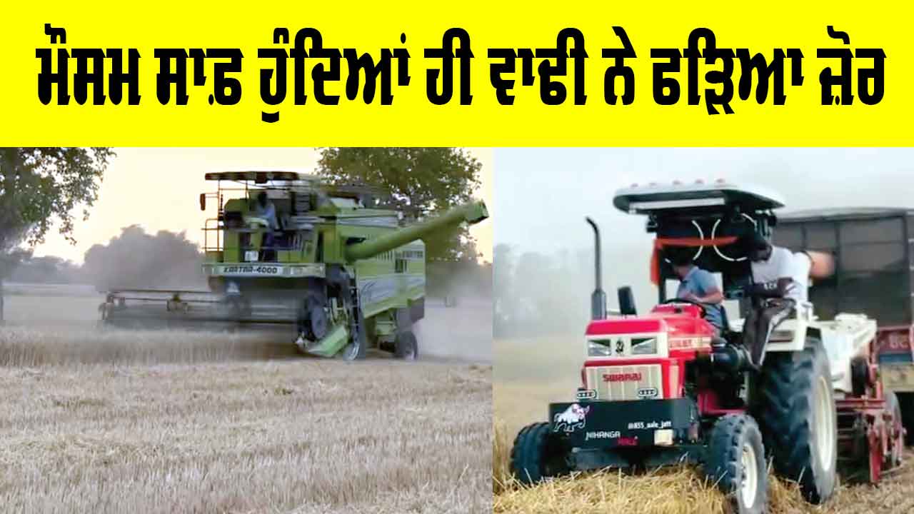 ਮੌਸਮ ਸਾਫ਼ ਹੁੰਦਿਆਂ ਹੀ ਵਾਢੀ ਨੇ ਫੜਿਆ ਜ਼ੋਰ