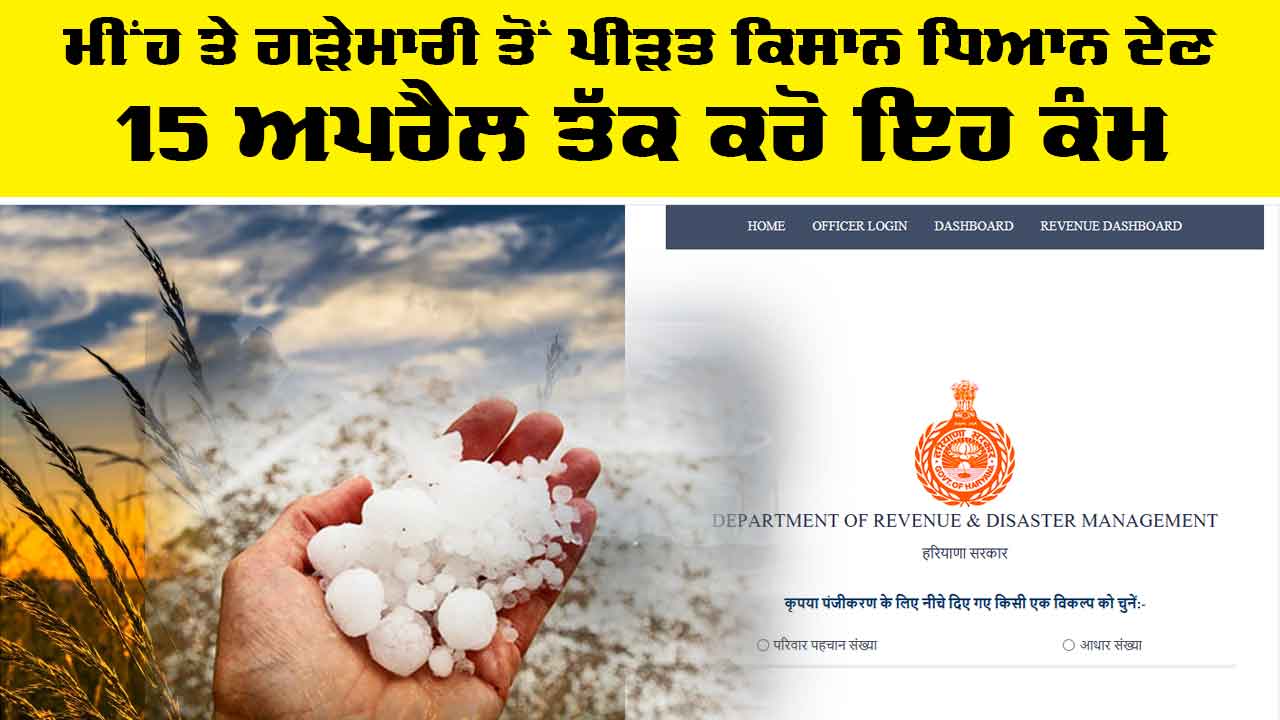 Haryana News: ਮੀਂਹ ਤੇ ਗੜੇਮਾਰੀ ਤੋਂ ਪੀੜਤ ਕਿਸਾਨ ਧਿਆਨ ਦੇਣ, 15 ਅਪਰੈਲ ਤੱਕ ਕਰੋ ਇਹ ਕੰਮ