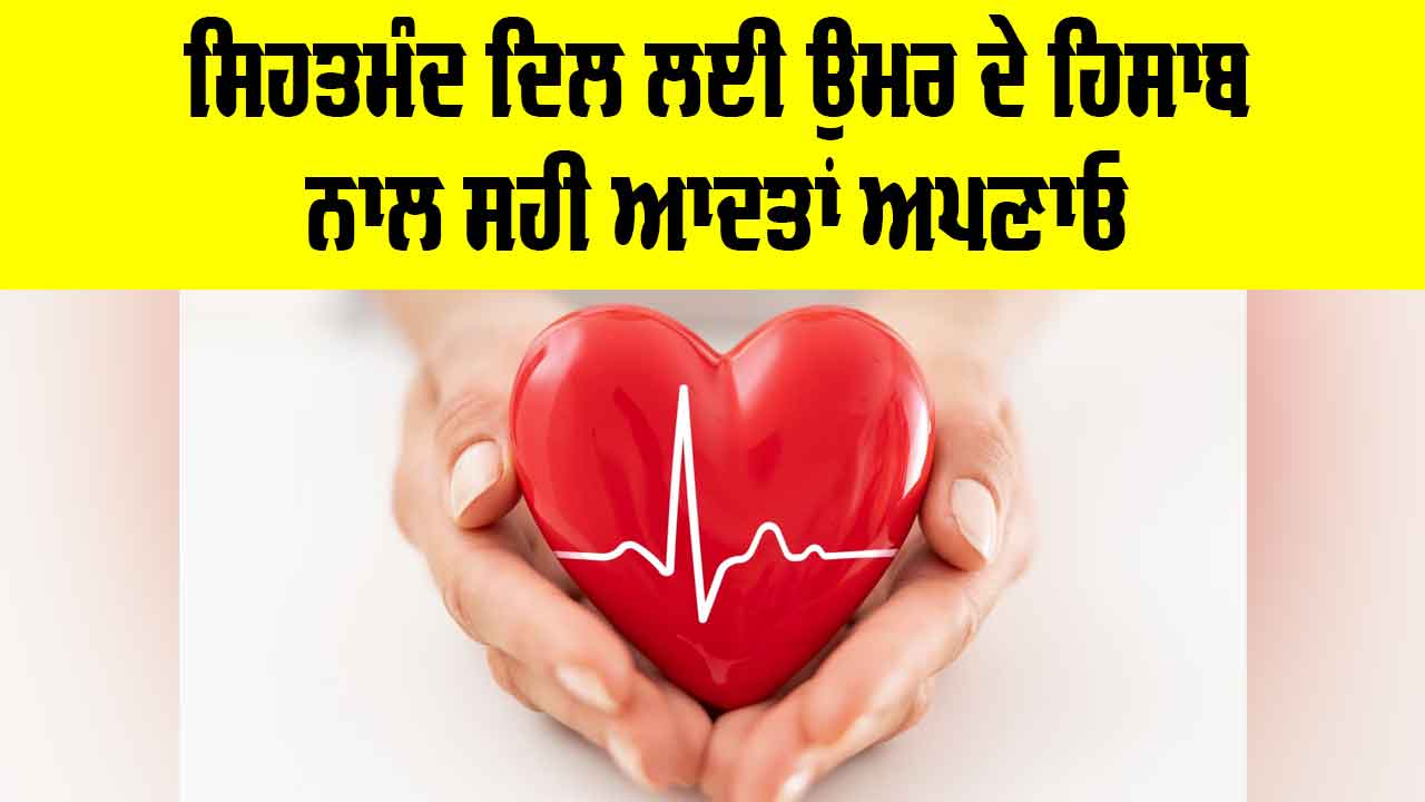 Healthy Heart Tips: ਸਿਹਤਮੰਦ ਦਿਲ ਲਈ ਉਮਰ ਦੇ ਹਿਸਾਬ ਨਾਲ ਸਹੀ ਆਦਤਾਂ ਅਪਣਾਓ
