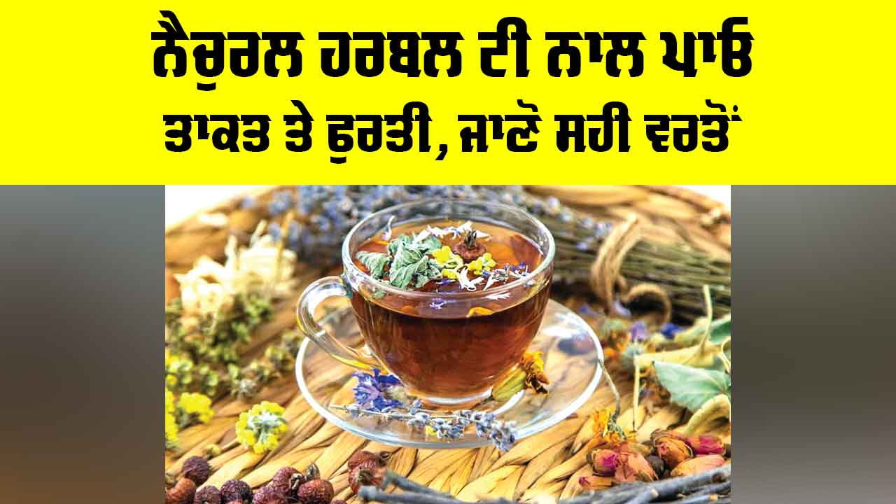 Herbal Tea Benefits: ਨੈਚੁਰਲ ਹਰਬਲ ਟੀ ਨਾਲ ਪਾਓ ਤਾਕਤ ਤੇ ਫੁਰਤੀ, ਜਾਣੋ ਸਹੀ ਵਰਤੋਂ