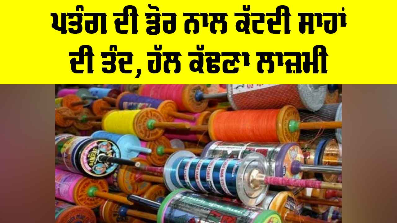 Kite String Danger: ਪਤੰਗ ਦੀ ਡੋਰ ਨਾਲ ਕੱਟਦੀ ਸਾਹਾਂ ਦੀ ਤੰਦ, ਹੱਲ ਕੱਢਣਾ ਲਾਜ਼ਮੀ