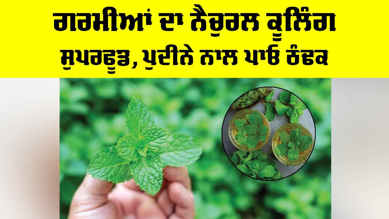 Mint Benefits: ਗਰਮੀਆਂ ਦਾ ਨੈਚੁਰਲ ਕੂਲਿੰਗ ਸੁਪਰਫੂਡ, ਪੁਦੀਨੇ ਨਾਲ ਪਾਓ ਠੰਢਕ