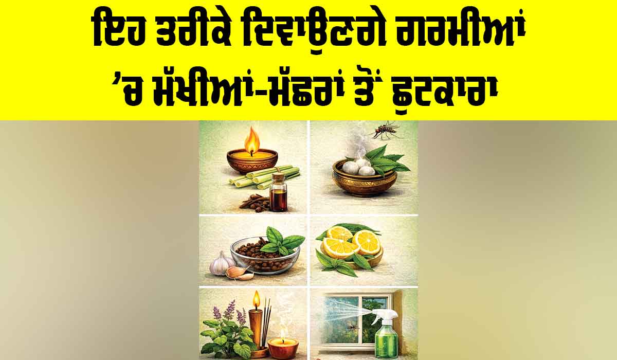 Mosquito Control Tips: ਇਹ ਤਰੀਕੇ ਦਿਵਾਉਣਗੇ ਗਰਮੀਆਂ ’ਚ ਮੱਖੀਆਂ-ਮੱਛਰਾਂ ਤੋਂ ਛੁਟਕਾਰਾ