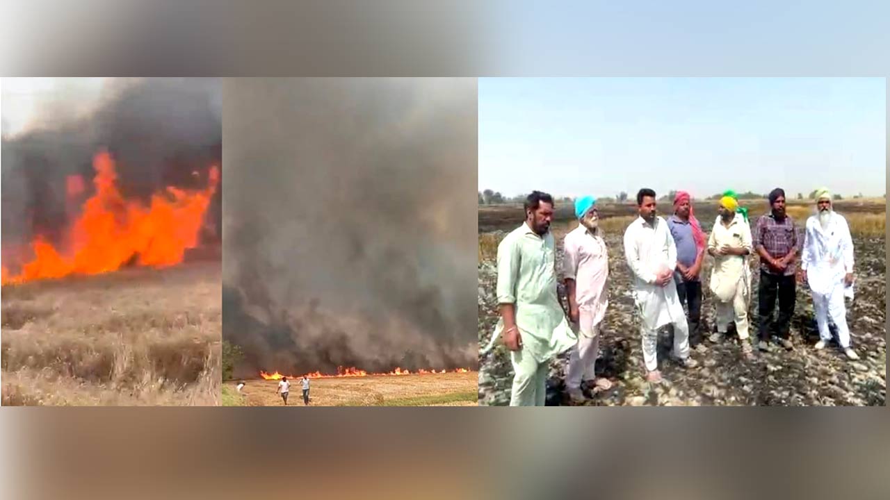 Punjab Farm Fire News: ਜੋਧਪੁਰ ਪਿੰਡ ‘ਚ ਲੱਗੀ ਅੱਗ ਨੇ ਆਲੇ-ਦੁਆਲੇ ਦੇ ਪਿੰਡਾਂ ਦੀ 400 ਏਕੜ ਕਣਕ ਸੜ ਕੇ ਸੁਆਹ 