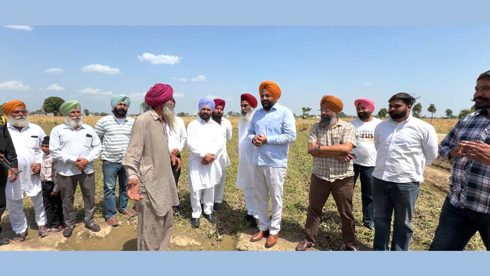 Punjab Farmers News: ਮੈਂਬਰ ਪਾਰਲੀਮੈਂਟ ਔਜਲਾ ਤੇ ਸੱਚਰ ਨੇ ਗੜੇਮਾਰੀ ਨਾਲ ਨੁਕਸਾਨਈਆਂ ਫਸਲਾਂ ਦਾ ਕੀਤਾ ਮੁਆਇਨਾ 