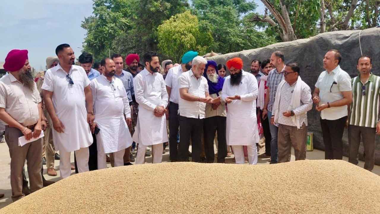 Punjab News: ਪੰਜਾਬ ਦੀਆਂ ਮੰਡੀਆਂ ‘ਚ 28 ਲੱਖ ਮੀਟਰਿਕ ਟਨ ਕਣਕ ਦੀ ਆਮਦ, 24 ਲੱਖ ਮੀਟਰਿਕ ਟਨ ਤੋਂ ਵੱਧ ਦੀ ਖ਼ਰੀਦ : ਲਾਲ ਚੰਦ ਕਟਾਰੂਚੱਕ
