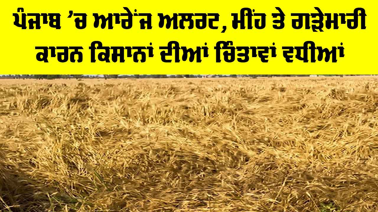 Weather Punjab: ਪੰਜਾਬ ’ਚ ਆਰੇਂਜ ਅਲਰਟ, ਮੀਂਹ ਤੇ ਗੜੇਮਾਰੀ ਕਾਰਨ ਕਿਸਾਨਾਂ ਦੀਆਂ ਚਿੰਤਾਵਾਂ ਵਧੀਆਂ