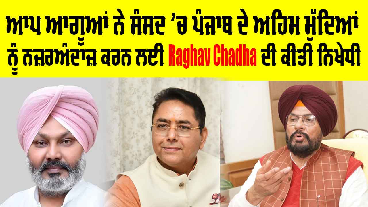 ਆਪ ਆਗੂਆਂ ਨੇ ਸੰਸਦ 'ਚ ਪੰਜਾਬ ਦੇ ਅਹਿਮ ਮੁੱਦਿਆਂ ਨੂੰ ਨਜ਼ਰਅੰਦਾਜ਼ ਕਰਨ ਲਈ Raghav Chadha ਦੀ ਕੀਤੀ ਨਿਖੇਧੀ