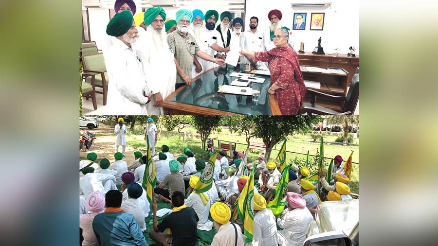 Wheat Procurement Delay: ਕਣਕ ਦੀ ਖਰੀਦ ਸ਼ੁਰੂ ਨਾ ਹੋਣ ਕਾਰਨ ਕਿਸਾਨਾਂ ਨੇ ਸਰਕਾਰ ਨੂੰ ਦੇ ਦਿੱਤੀ ਵੱਡੀ ਚਿਤਾਵਨੀ, ਜਾਣੋ