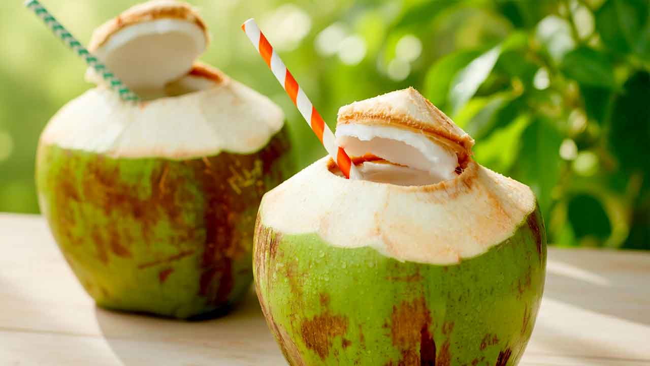 Coconut Water Benefits: ਗਰਮੀਆਂ ’ਚ ਅੰਮ੍ਰਿਤ ਵਾਂਗ ਹੈ ਨਾਰੀਅਲ ਪਾਣੀ, ਪਰ ਇਹ ਗਲਤੀਆਂ ਤੁਹਾਨੂੰ ਕਰ ਸਕਦੀਆਂ ਹਨ ਬਿਮਾਰ