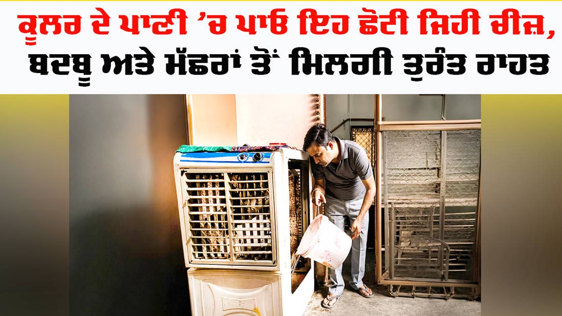 Cooler Tips: ਕੂਲਰ ਦੇ ਪਾਣੀ ’ਚ ਪਾਓ ਇਹ ਛੋਟੀ ਜਿਹੀ ਚੀਜ਼, ਬਦਬੂ ਅਤੇ ਮੱਛਰਾਂ ਤੋਂ ਮਿਲਗੀ ਰਾਹਤ