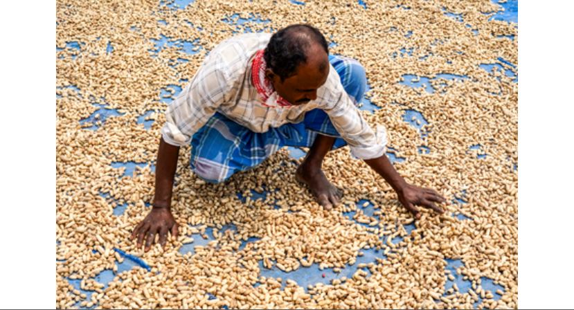 Farmers Good News: ਕਿਸਾਨਾਂ ਨੂੰ ਵੱਡਾ ਤੋਹਫ਼ਾ ਕੇਂਦਰ ਸਰਕਾਰ ਨੇ 14 ਸਾਉਣੀ ਫਸਲਾਂ ਲਈ ਕੀਤਾ ਵੱਡਾ ਐਲਾਨ