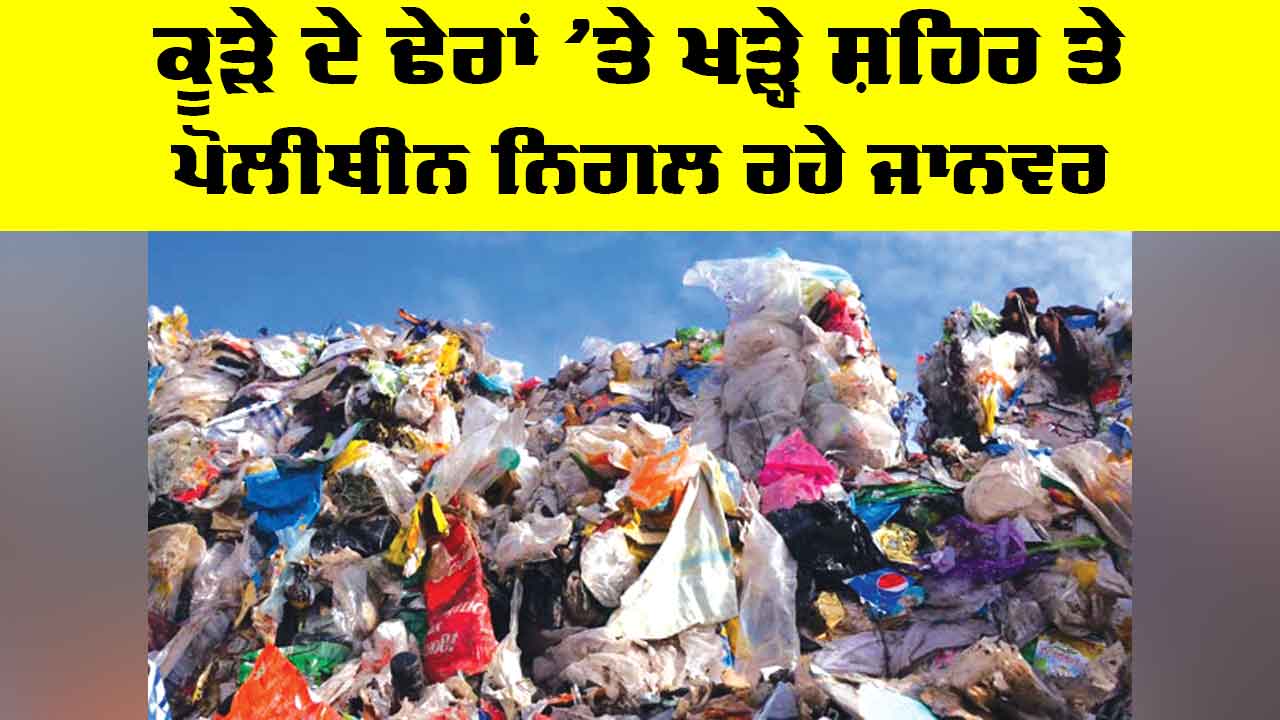 Garbage Pollution Crisis: ਕੂੜੇ ਦੇ ਢੇਰਾਂ ’ਤੇ ਖੜ੍ਹੇ ਸ਼ਹਿਰ ਤੇ ਪੋਲੀਥੀਨ ਨਿਗਲ ਰਹੇ ਜਾਨਵਰ
