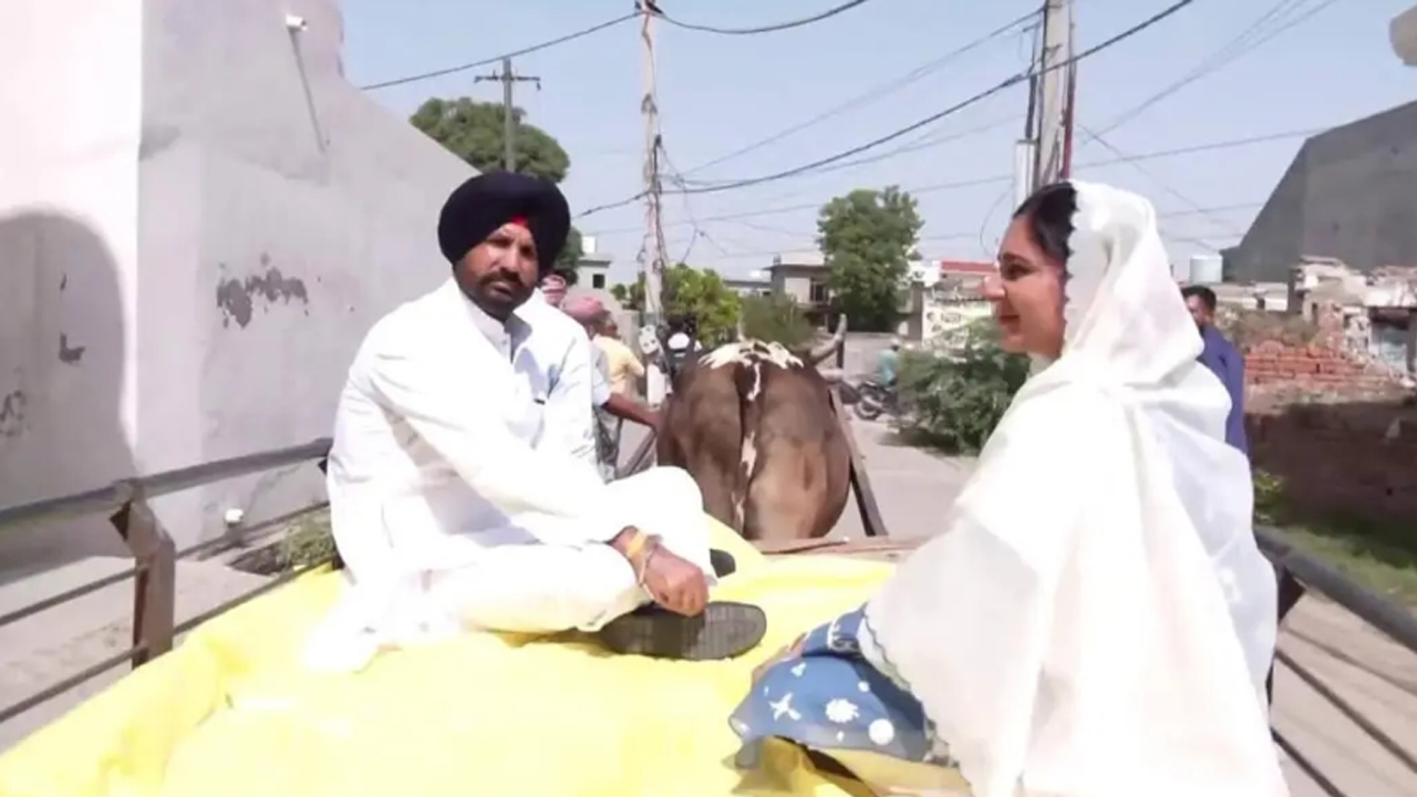 Nagar Nigam Election 2