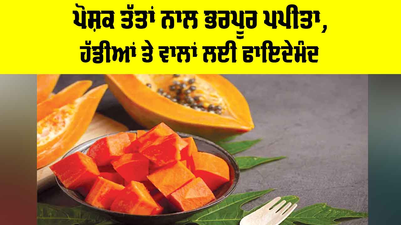 Papaya Health Benefits: ਪੋਸ਼ਕ ਤੱਤਾਂ ਨਾਲ ਭਰਪੂਰ ਪਪੀਤਾ, ਹੱਡੀਆਂ ਤੇ ਵਾਲਾਂ ਲਈ ਫਾਇਦੇਮੰਦ
