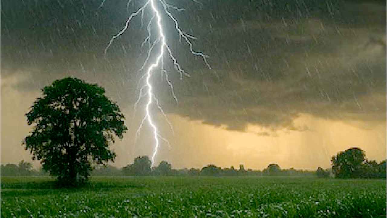 Punjab Weather Alert: ਪੰਜਾਬ ’ਚ ਤੇਜ਼ ਤੂਫਾਨ ਤੇ ਮੀਂਹ ਦਾ ਅਲਰਟ, ਕਈ ਜ਼ਿਲ੍ਹਿਆਂ ’ਚ ਮੌਸਮ ਵਿਭਾਗ ਦੀ ਚਿਤਾਵਨੀ