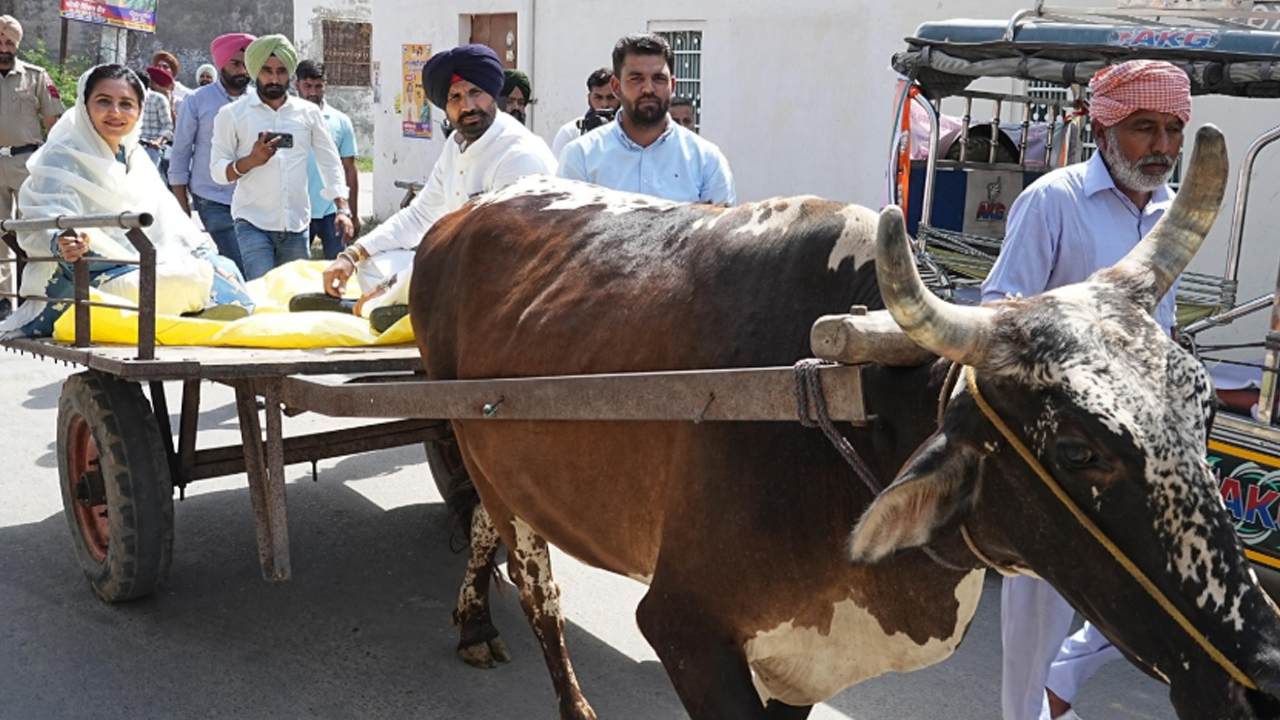 Punjab Election: ਮਹਿੰਗਾਈ ਖਿਲਾਫ਼ ਅਨੋਖਾ ਰੋਸ ਪ੍ਰਦਰਸ਼ਨ, ਬਲਦ ਗੱਡੀ ’ਤੇ ਵੋਟ ਪਾਉਣ ਪਹੁੰਚੇ ਰਾਜਾ ਵੜਿੰਗ