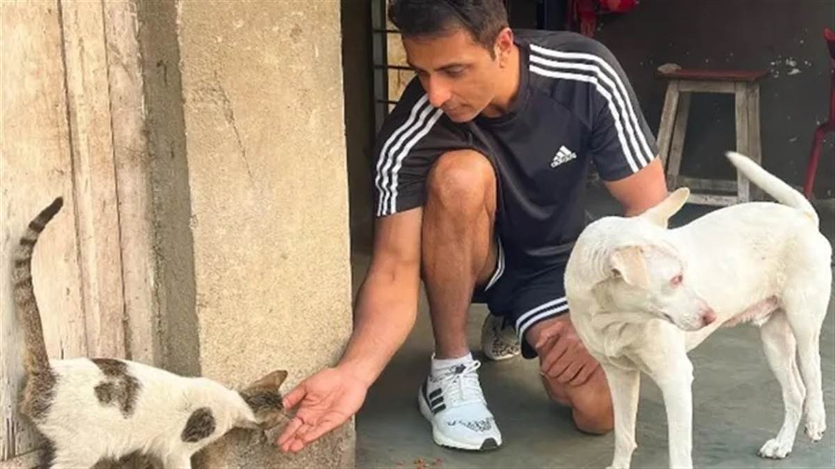 Sonu Sood Statement: ਆਵਾਰਾ ਕੁੱਤਿਆਂ ਦੇ ਹੱਕ ’ਚ ਬੋਲੇ ਸੋਨੂੰ ਸੂਦ, ਇਹਨਾਂ ਨੂੰ ਮਾਰੋ ਨਾ ਘਰ ਦਿਓ