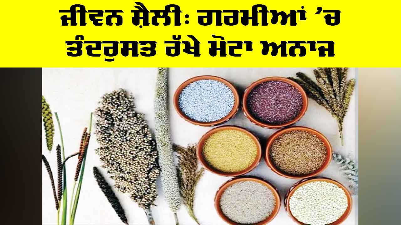 Summer Diet: ਜੀਵਨ ਸ਼ੈਲੀ, ਗਰਮੀਆਂ ’ਚ ਤੰਦਰੁਸਤ ਰੱਖੇ ਮੋਟਾ ਅਨਾਜ
