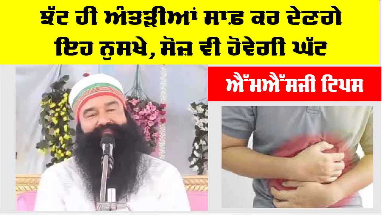 Tips To Clean Intestine: ਝੱਟ ਹੀ ਅੰਤੜੀਆਂ ਸਾਫ਼ ਕਰ ਦੇਣਗੇ ਇਹ ਨੁਸਖੇ, ਸੋਜ਼ ਵੀ ਹੋਵੇਗੀ ਘੱਟ