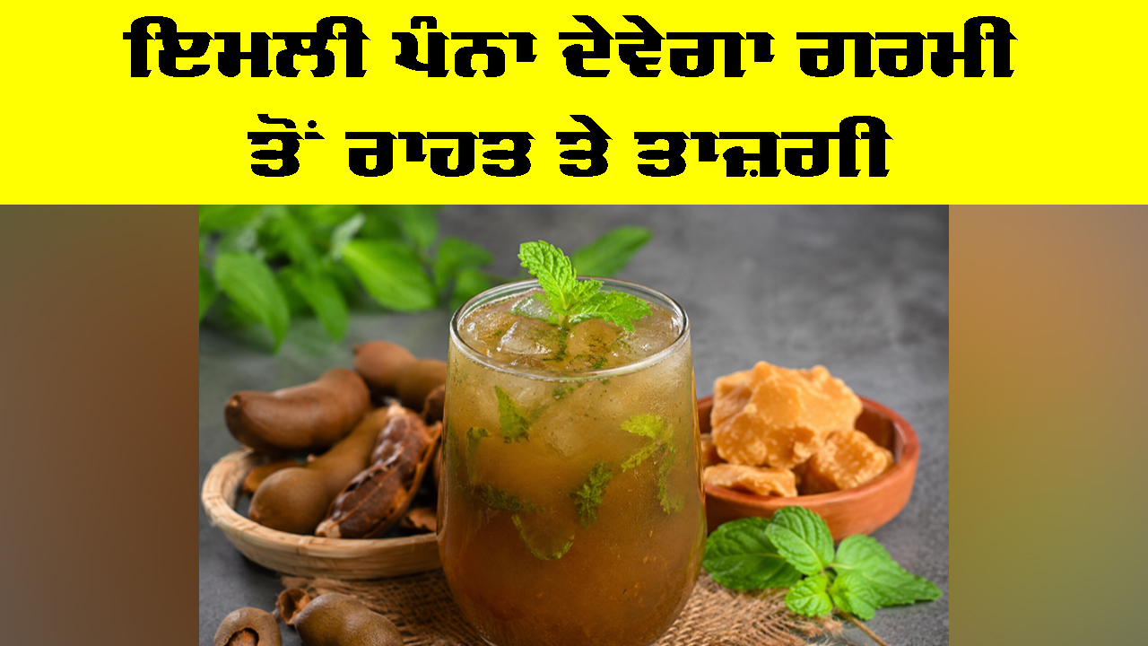 Tamarind Panna Benefits: ਇਮਲੀ ਪੰਨਾ ਦੇਵੇਗਾ ਗਰਮੀ ਤੋਂ ਰਾਹਤ ਤੇ ਤਾਜ਼ਗੀ