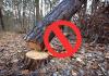 Save Tree: ਅੰਨ੍ਹੇਵਾਹ ਰੁੱਖ ਵੱਢਣ ’ਤੇ ਲੱਗੇ ਰੋਕ