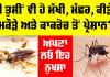 Mosquitoes and Cockroaches: ਕੀ ਤੁਸੀਂ ਵੀ ਹੋ ਮੱਖੀ, ਮੱਛਰ, ਕੀੜੇ, ਮਕੌੜੇ ਅਤੇ ਕਾਕਰੋਚ ਤੋਂ ਪ੍ਰੇਸ਼ਾਨ, ਤਾਂ ਅਪਣਾ ਲਓ ਇਨ੍ਹਾਂ ਨੂੰ ਭਜਾਉਣ ਦਾ ਇਹ ਨੁਕਤਾ