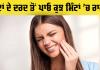 Dental Care Tips: ਲੌਂਗ ਤੋਂ ਲੈ ਕੇ ਨਮਕ ਵਾਲੇ ਪਾਣੀ ਤੱਕ, ਇਨ੍ਹਾਂ ਘਰੇਲੂ ਉਪਚਾਰਾਂ ਨਾਲ ਦੰਦਾਂ ਦੇ ਦਰਦ ਨੂੰ ਇੰਜ ਕਰੋ ਦੂਰ