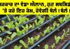 Farmer News: ਸਰਕਾਰ ਦਾ ਵੱਡਾ ਐਲਾਨ, ਹੁਣ ਸਬਸਿਡੀ ’ਤੇ ਕਰੋ ਇਹ ਕੰਮ, ਹੋਵੇਗੀ ਬੱਲੇ! ਬੱਲੇ!