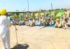 Farmers Protest Mandi: ਕਣਕ ਦੀ ਖਰੀਦ ਨਾ ਹੋਣ ਕਰਕੇ ਕਿਸਾਨਾਂ ਨੇ ਦਿੱਤਾ ਰੋਸ ਵਜੋਂ ਧਰਨਾ