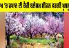Ladakh Cherry Blossom: ਲੱਦਾਖ ’ਚ ਜਪਾਨ ਦੀ ਚੈਰੀ ਬਲੌਸਮ ਸੀਜ਼ਨ ਵਰਗੀ ਖੂਬਸੂਰਤੀ