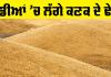 Punjab Farmers: ਮੰਡੀਆਂ ’ਚ ਲੱਗੇ ਕਣਕ ਦੇ ਢੇਰ
