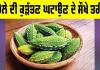 Bitter Gourd Cooking Tips: ਕਰੇਲੇ ਦੀ ਕੁੜੱਤਣ ਘਟਾਉਣ ਦੇ ਸੌਖੇ ਤਰੀਕੇ