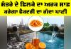 IIT BHU Research: ਸੰਤਰੇ ਦੇ ਛਿਲਕੇ ਦਾ ਅਰਕ ਸਾਫ਼ ਕਰੇਗਾ ਫੈਕਟਰੀ ਦਾ ਗੰਦਾ ਪਾਣੀ