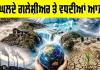 Melting Glaciers Crisis: ਪਿਘਲਦੇ ਗਲੇਸ਼ੀਅਰ ਤੇ ਵਧਦੀਆਂ ਆਫ਼ਤਾਂ