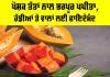 Papaya Health Benefits: ਪੋਸ਼ਕ ਤੱਤਾਂ ਨਾਲ ਭਰਪੂਰ ਪਪੀਤਾ, ਹੱਡੀਆਂ ਤੇ ਵਾਲਾਂ ਲਈ ਫਾਇਦੇਮੰਦ