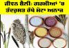 Summer Diet: ਜੀਵਨ ਸ਼ੈਲੀ, ਗਰਮੀਆਂ ’ਚ ਤੰਦਰੁਸਤ ਰੱਖੇ ਮੋਟਾ ਅਨਾਜ
