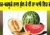 Watermelon Health Tips: ਤਰਬੂਜ਼-ਖਰਬੂਜੇ ਨਾਲ ਭੁੱਲ ਕੇ ਵੀ ਨਾ ਖਾਓ ਇਹ ਚੀਜ਼ਾਂ
