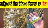 Punjab Weather: ਗੜਿਆਂ ਨੇ ਫਿਰ ਰੋਲਿਆ ਕਿਸਾਨਾਂ ਦਾ ‘ਸੋਨਾ’