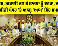 Punjab Political News: ਕਾਂਗਰਸ, ਅਕਾਲੀ ਦਲ ਤੇ ਭਾਜਪਾ ਨੂੰ ਝਟਕਾ, ਦਰਜਨਾਂ ਜ਼ਮੀਨੀ ਪੱਧਰ ਦੇ ਆਗੂ ‘ਆਪ’ ’ਚ ਸ਼ਾਮਲ