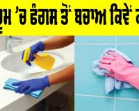 Bathroom Fungus Prevention: ਬਾਥਰੂਮ ’ਚ ਫੰਗਸ ਤੋਂ ਬਚਾਅ ਕਿਵੇਂ ਕਰੀਏ