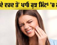 Dental Care Tips: ਲੌਂਗ ਤੋਂ ਲੈ ਕੇ ਨਮਕ ਵਾਲੇ ਪਾਣੀ ਤੱਕ, ਇਨ੍ਹਾਂ ਘਰੇਲੂ ਉਪਚਾਰਾਂ ਨਾਲ ਦੰਦਾਂ ਦੇ ਦਰਦ ਨੂੰ ਇੰਜ ਕਰੋ ਦੂਰ