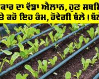 Farmer News: ਸਰਕਾਰ ਦਾ ਵੱਡਾ ਐਲਾਨ, ਹੁਣ ਸਬਸਿਡੀ ’ਤੇ ਕਰੋ ਇਹ ਕੰਮ, ਹੋਵੇਗੀ ਬੱਲੇ! ਬੱਲੇ!