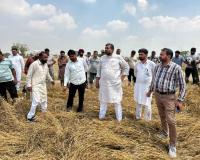 Fazilka News: ਵਿਧਾਇਕ ਜਗਦੀਪ ਕੰਬੋਜ ਗੋਲਡੀ ਵੱਲੋਂ ਮੀਂਹ ਤੇ ਗੜੇਮਾਰੀ ਕਾਰਨ ਅਰਨੀਵਾਲਾ ਬਲਾਕ ਦੇ ਪਿੰਡਾਂ ਦਾ ਦੌਰਾ