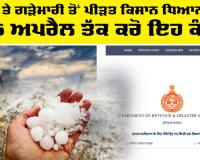 Haryana News: ਮੀਂਹ ਤੇ ਗੜੇਮਾਰੀ ਤੋਂ ਪੀੜਤ ਕਿਸਾਨ ਧਿਆਨ ਦੇਣ, 15 ਅਪਰੈਲ ਤੱਕ ਕਰੋ ਇਹ ਕੰਮ