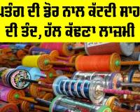 Kite String Danger: ਪਤੰਗ ਦੀ ਡੋਰ ਨਾਲ ਕੱਟਦੀ ਸਾਹਾਂ ਦੀ ਤੰਦ, ਹੱਲ ਕੱਢਣਾ ਲਾਜ਼ਮੀ
