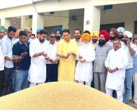 Mandi Wheat Purchase: ਮੰਤਰੀ ਅਮਨ ਅਰੋੜਾ ਨੇ ਸੁਨਾਮ ਵਿਖੇ ਕਣਕ ਦੀ ਖਰੀਦ ਸ਼ੁਰੂ ਕਰਵਾਈ