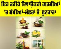 Mosquito Control Tips: ਇਹ ਤਰੀਕੇ ਦਿਵਾਉਣਗੇ ਗਰਮੀਆਂ ’ਚ ਮੱਖੀਆਂ-ਮੱਛਰਾਂ ਤੋਂ ਛੁਟਕਾਰਾ