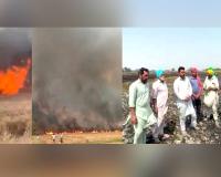 Punjab Farm Fire News: ਜੋਧਪੁਰ ਪਿੰਡ ‘ਚ ਲੱਗੀ ਅੱਗ ਨੇ ਆਲੇ-ਦੁਆਲੇ ਦੇ ਪਿੰਡਾਂ ਦੀ 400 ਏਕੜ ਕਣਕ ਸੜ ਕੇ ਸੁਆਹ 