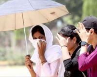 IMD Weather Punjab: ਪੰਜਾਬ ’ਚ ਗਰਮੀ ਦਾ ਕਹਿਰ, 7 ਜ਼ਿਲ੍ਹਿਆਂ ’ਚ Heatwave ਦਾ ਅਲਰਟ